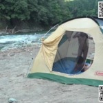 Thumbnail of post image 110