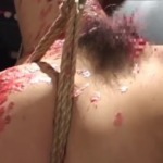 Thumbnail of post image 061